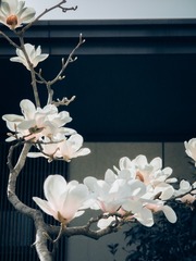 IMG_20240320_161504