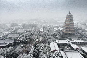 DJI_0701