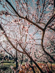 IMG_20240320_162851