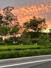 47C29554-24E0-44CB-B70F-D657AB18199F/L0/001