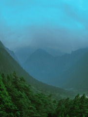 1000010295