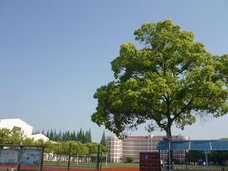 98136EDE-002F-4173-8FD1-F636B0F438E8/L0/001