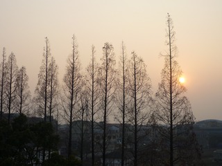 87C860C2-52B3-400F-BD77-2D42ECCA135A/L0/001