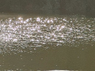 32B311DA-AE31-49E6-B609-1176FC16B2F9/L0/001