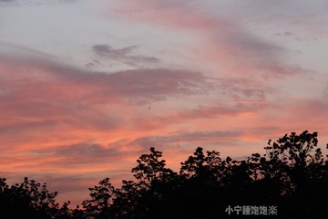 4AC5C04A-8BA2-473F-AB4C-C9316697BEE9/L0/001