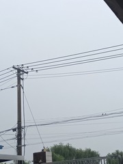149820