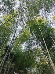 1000057645