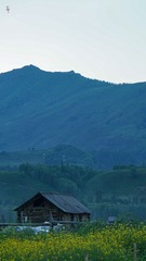 7E9C0B72-B517-4CD3-BB21-0FA41B778D7F/L0/001