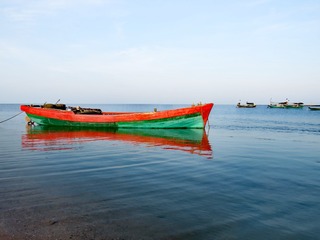 53306
