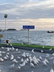 2B8FE2BD-B453-4663-B0DE-66F2719BB0A7/L0/001