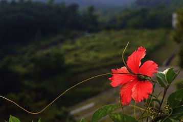 _DSC0333.jpg