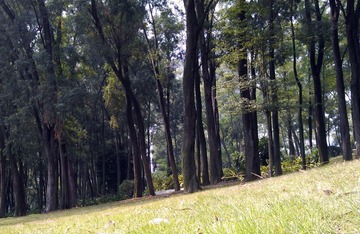 IMAG0616(2).jpg