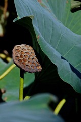 DSC05285.jpg