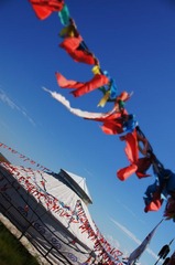 IMG_0057.JPG