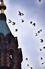 IMG_0113.JPG