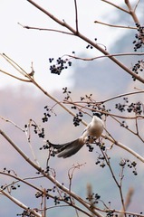 照片 100.jpg