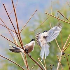 照片 102.jpg