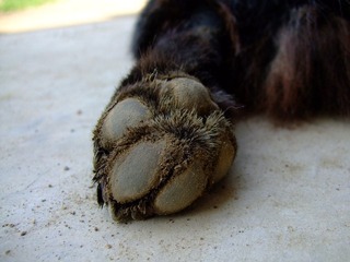 DSCF8474.JPG