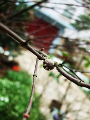DSCF6456fb