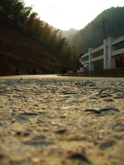 DSCF6767fb