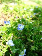 DSCF7018fb