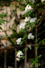 1676752