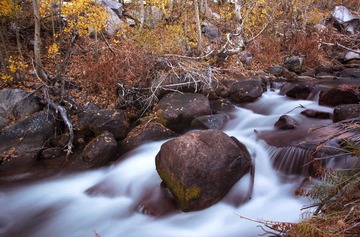 DSC_2488_1s.jpg