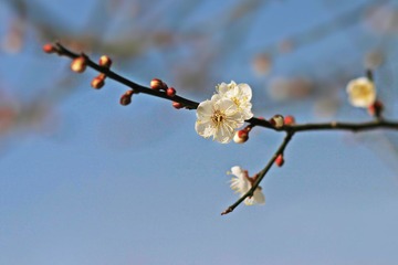 IMG_6411.jpg