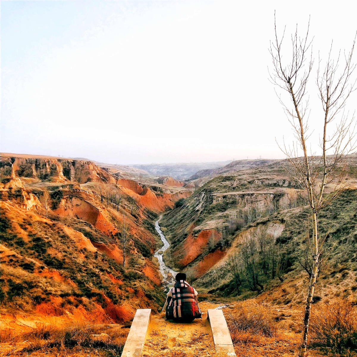 我已长成大后生