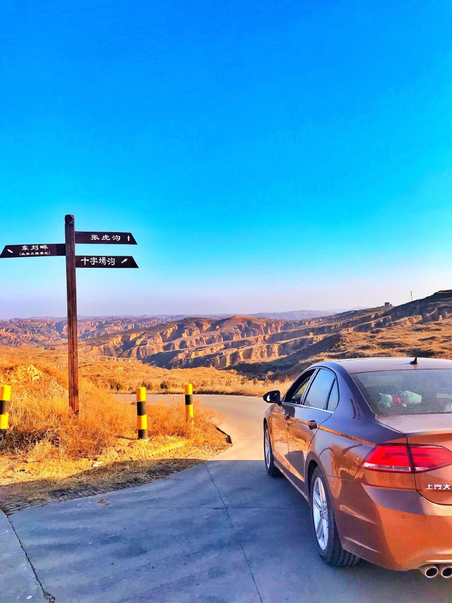 我已长成大后生