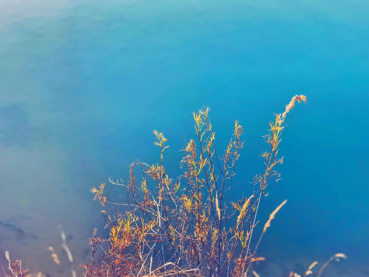 我已长成大后生