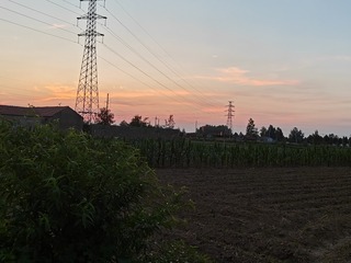 1000002016
