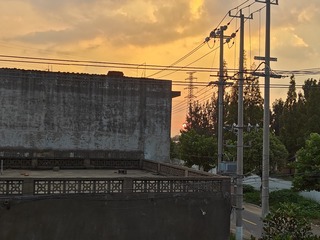 1000000316