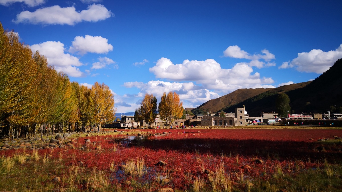 稻城红草滩
