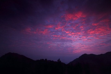 _MG_3125.JPG