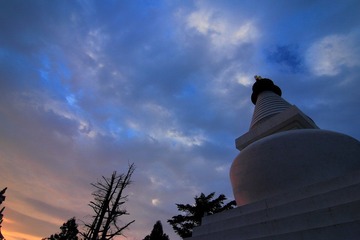 _MG_3184.JPG