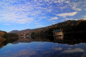 _MG_3010.JPG