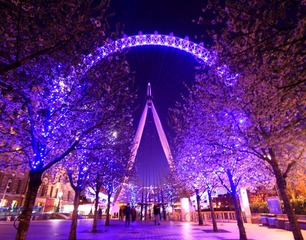 _MG_4408.jpg
