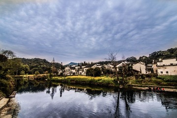 IMG_9116.jpg