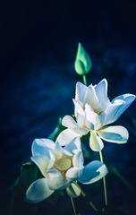 001