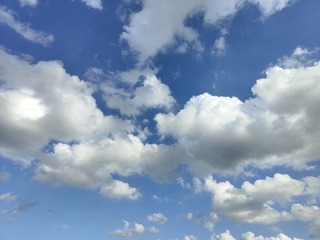 1000025250