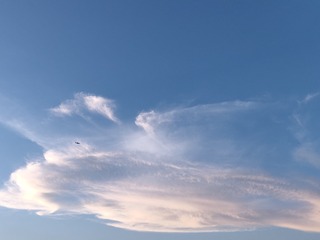 1000025497