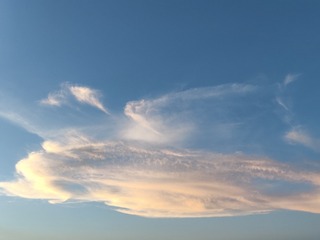 1000025500