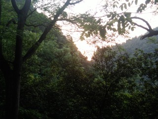 1408025