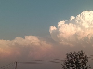 1088028