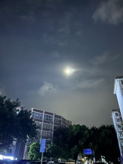 885D9923-862D-42F8-BDF5-CB92E0165102/L0/001