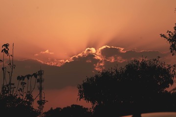 E9E1275B-F0E6-4FBD-B2C0-7E839E4FCDF8/L0/001