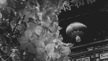 2045D646-2FF0-4F3D-839D-FE9C768540B7/L0/001