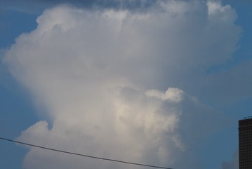 P1020517