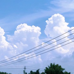 33797292-A77C-4B91-9905-6F828208315C/L0/001